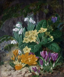 Fleurs de printemps (dont crocus et primeveres). Peinture de Thomas Worsey (1829-1875) Collection privee.