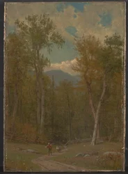 Paysage