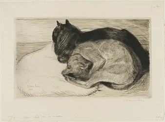 Deux chats sur un coussin