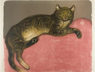 Hiver : Chat sur un coussin