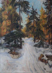Intérieur de forêt, hiver