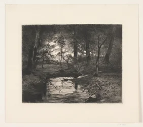 Ruisseau dans la forêt de Borrevejle