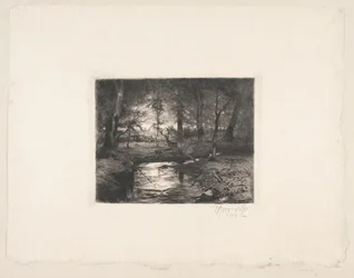 Rivière à Borrevejle Skov