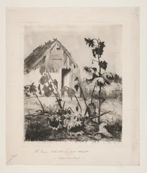 Les tournesols près de la maison