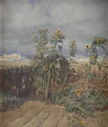 Tournesols sur une plage