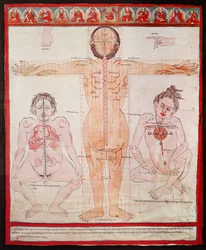 Tableau anatomique, 1938