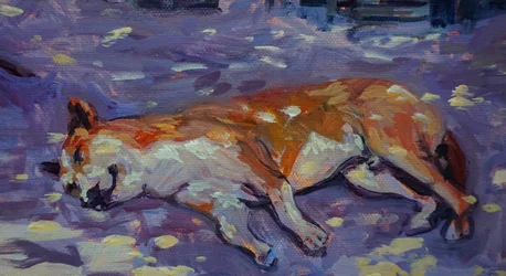 Chien endormi