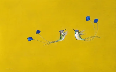 Colibris