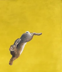 Le Saut-Jaune