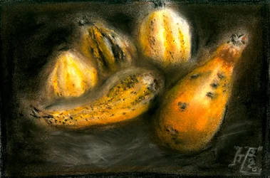 Courges d