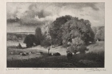 Chênes d