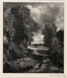 Champ de maïs