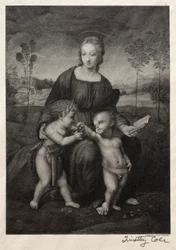 Vieux maîtres italiens : La Madone du Chardonneret, 1888-1892