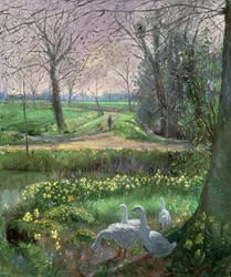 Promenade printanière