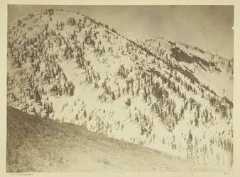 Snow Peaks, district minier de Bull Run, Nevada