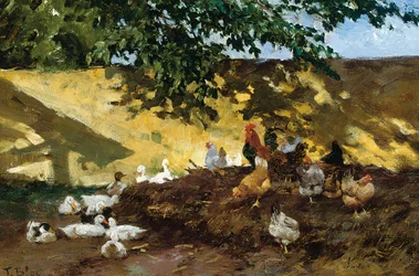 Canards et poules dans une cour de ferme