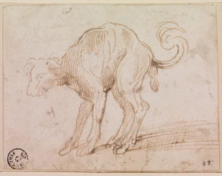 Détail d