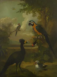 Macaw et autres oiseaux dans un paysage