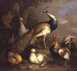 Paon, paonne et volailles dans un paysage