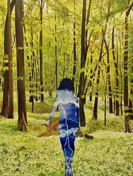 Promenade en forêt dans la tempête intérieure