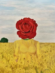 Tête de rose, champ jaune