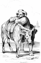 Sancho Panza (Panca), écuyer de Don Quichotte (Quijote, Quixote), et son âne. Illustration du roman de Cervantès publié en France en 1845 par Dubochet & Cie, traduction de Louis Viardot, gravures de Tony Johannot.