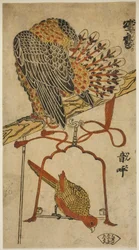 Épervier et ara (Konori taka, inko)