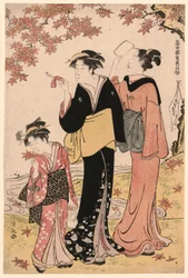 Beautés sous un érable, de la série "Une collection de beautés contemporaines des quartiers de plaisir (Tosei yuri bijin awase)"