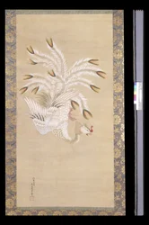 Phénix, de « Beauté chinoise, phénix et paon »