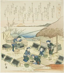 Hamagawa, de la série "Un récit d