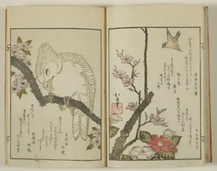 Kyoka hyakucho Kocho