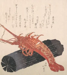 Homard sur un morceau de charbon