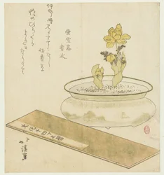 Plante en pot et almanach