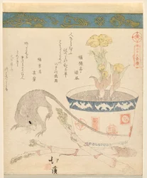 Rat et Nouvel An