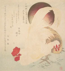 Soleil levant et un coq et une poule
