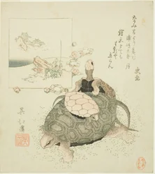 Tortues de mer et Urashima Taro