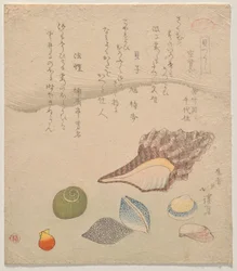 Sept coquillages au bord de la mer, de la série Compendium des coquillages (Kaizukushi)