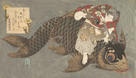 Shiei sur sa carpe