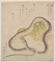 Serpent enroulé autour de gourdes (Chomonjō; abréviation pour le Kokon Chomonjō)