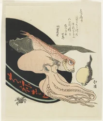 (Poulpe, Tile rouge, Brochet, Poisson-globe et Crabe)