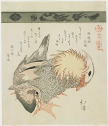 Canard mandarin et canard, vers 1830