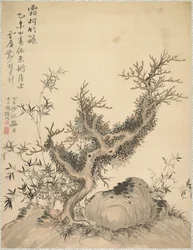 Branches givrées et bambou nain, 1847