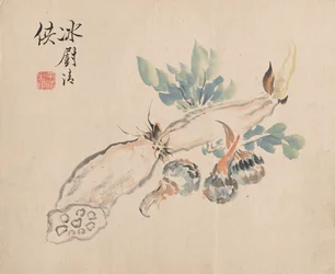 Racine de lotus et langue de serpent