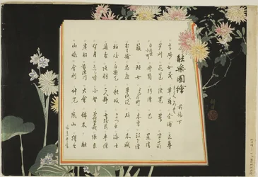 Page d