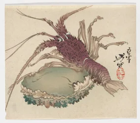 Homard et ormeau