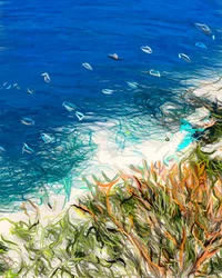 Résumé : Ocean Beach