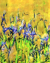 Résumé : « Yellow Meadow »