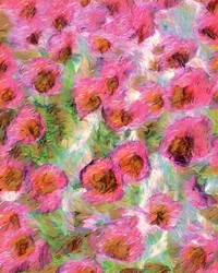 Fleurs roses de rêve