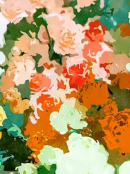 Fleurs éclatantes du jardin