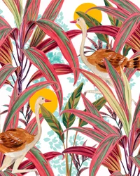 Autruches de la jungle aux couleurs vives